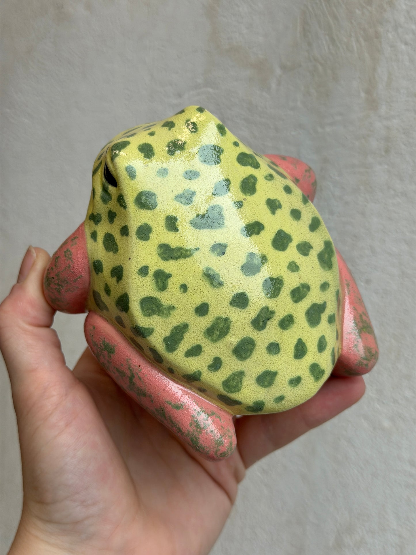 Grump the Strawberry Dart Frog