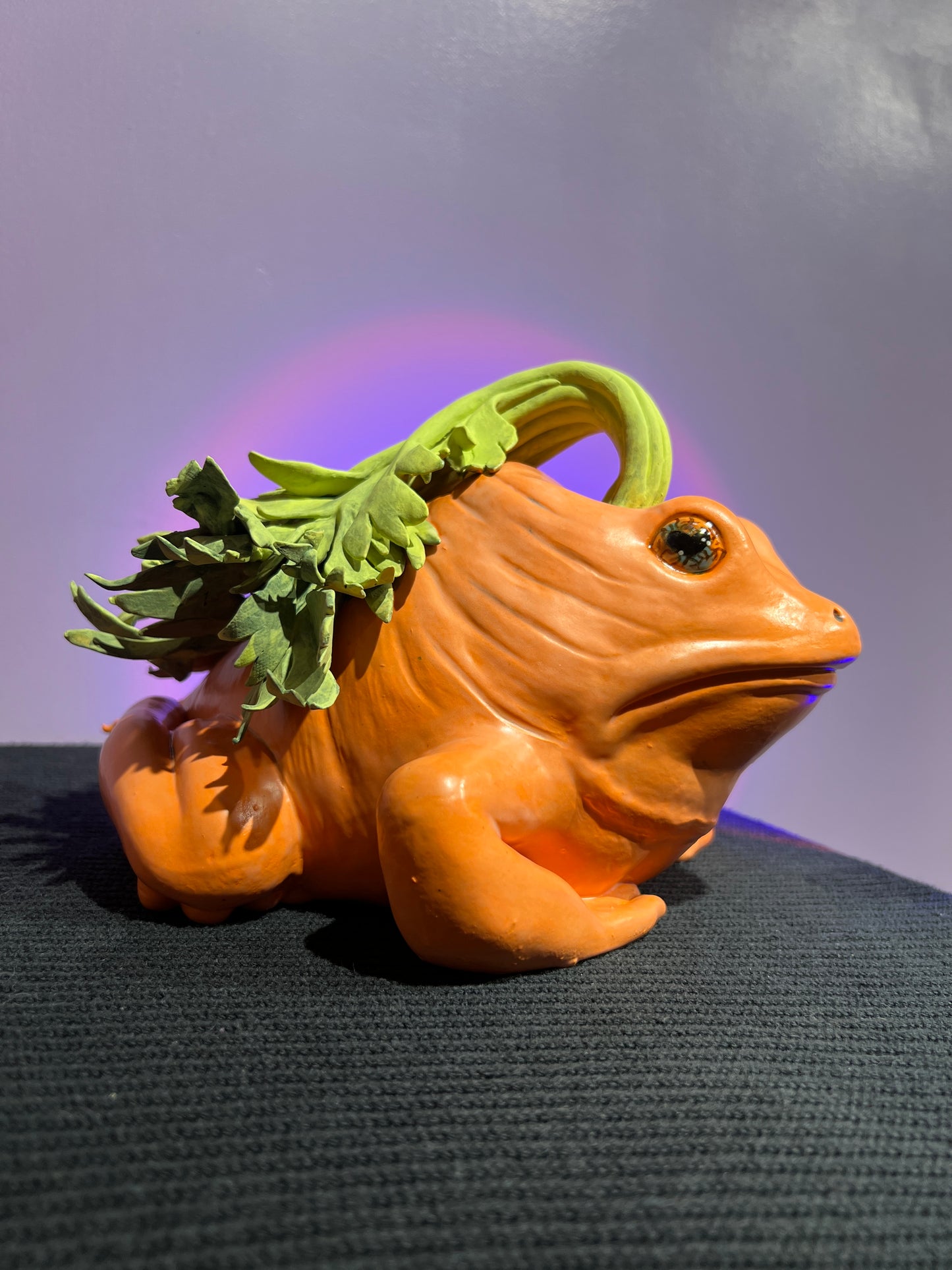 Carlee the Carrot Frog