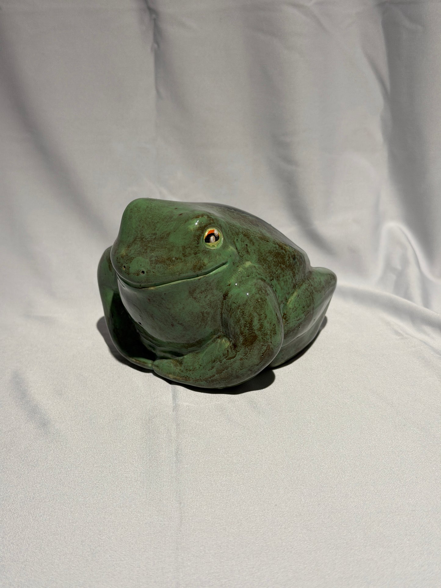 Brad the white's tree frog