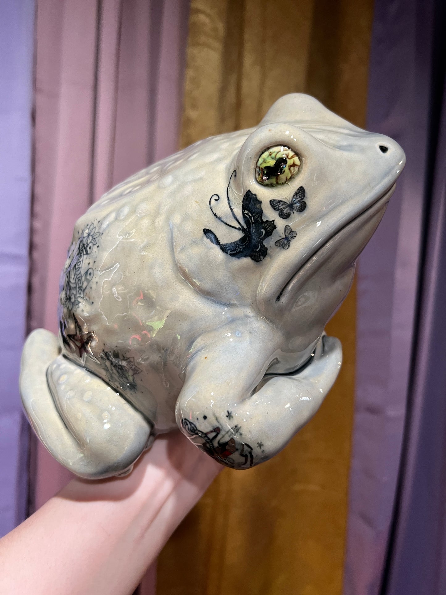 SpiderFly the Tattoad