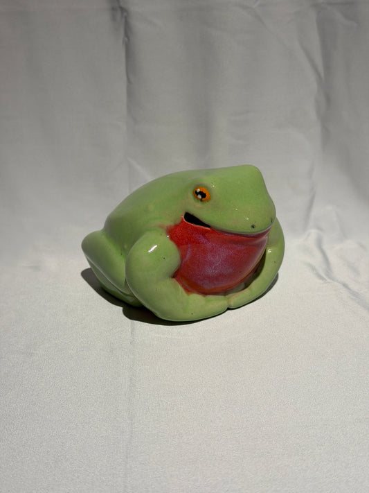 Lifeline the White's Tree Frog
