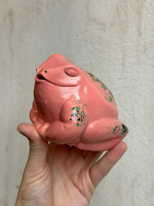 Ash the Harlequin Dart Frog