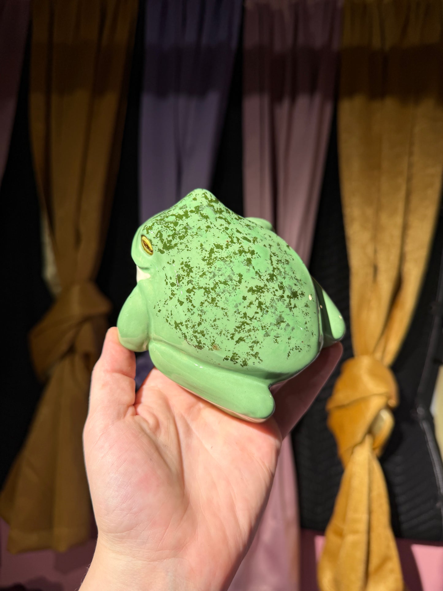 Garth the small frog 5