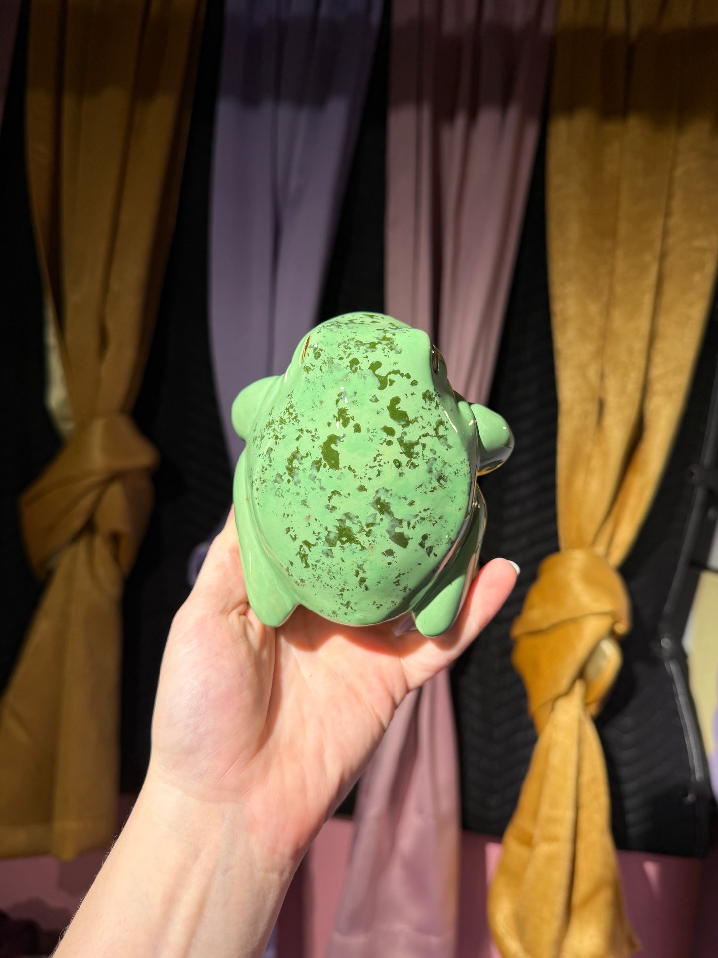 Melba the small frog 12