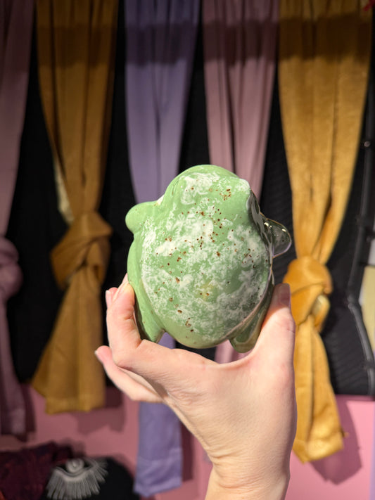 Hyde the small frog 6