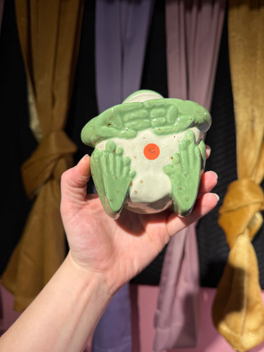 Boris the small frog 16