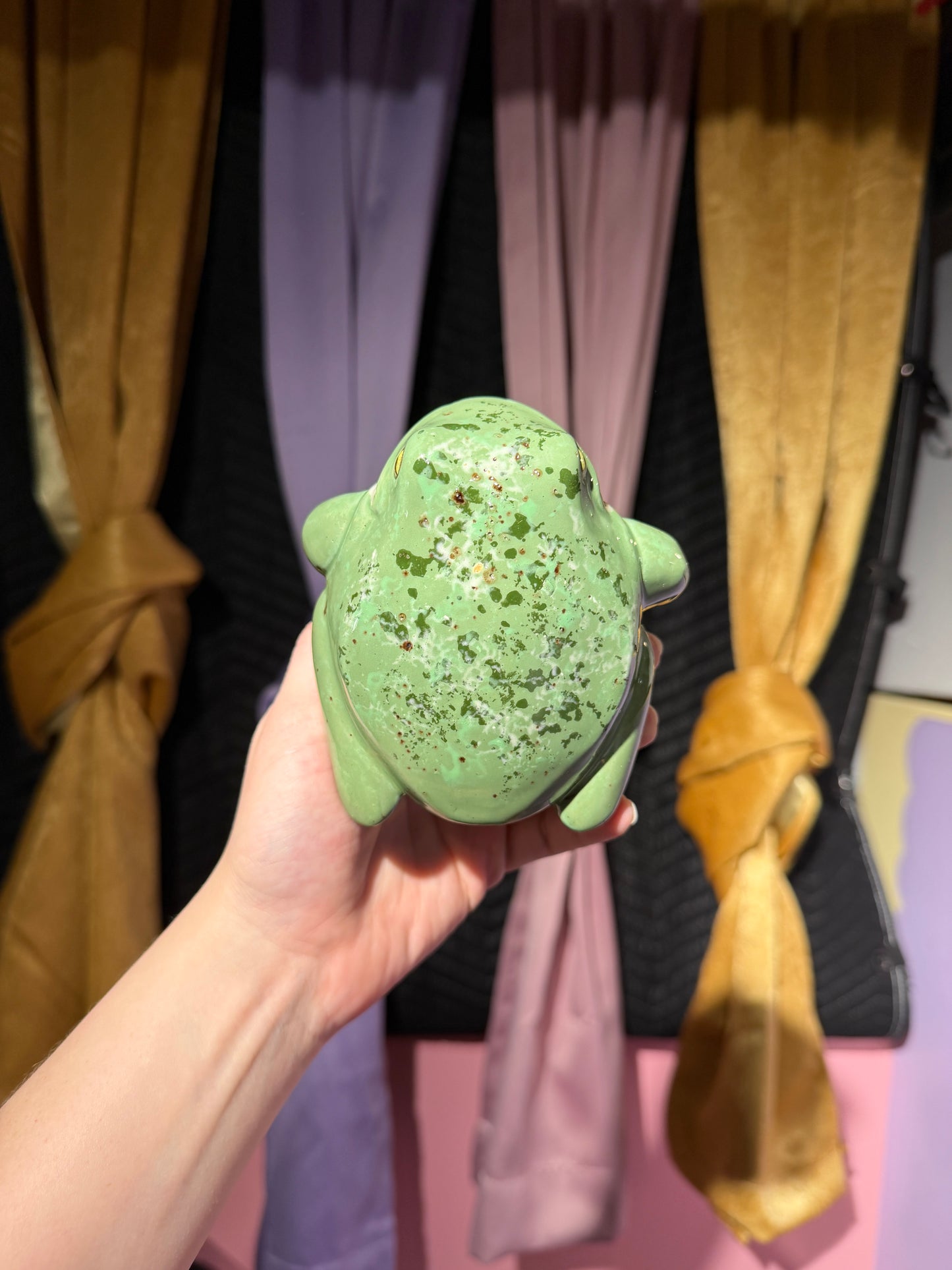 Boris the small frog 16