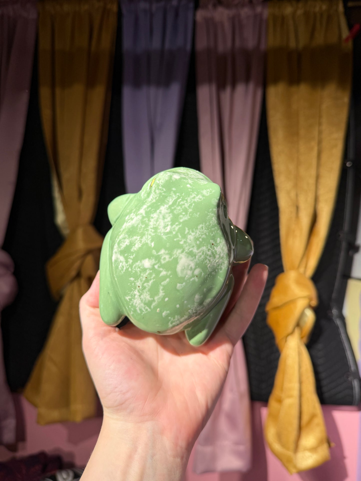 Poe the small frog 9