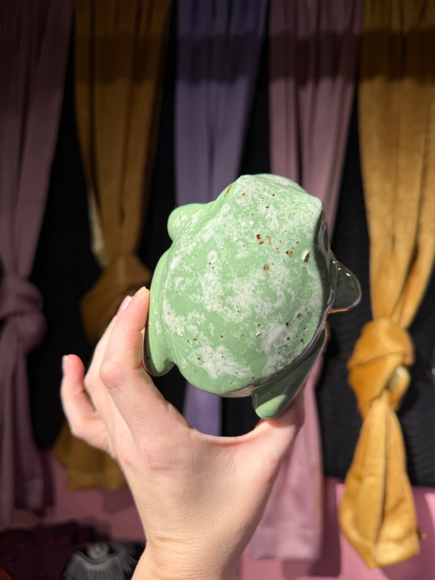 Stella the small frog 1