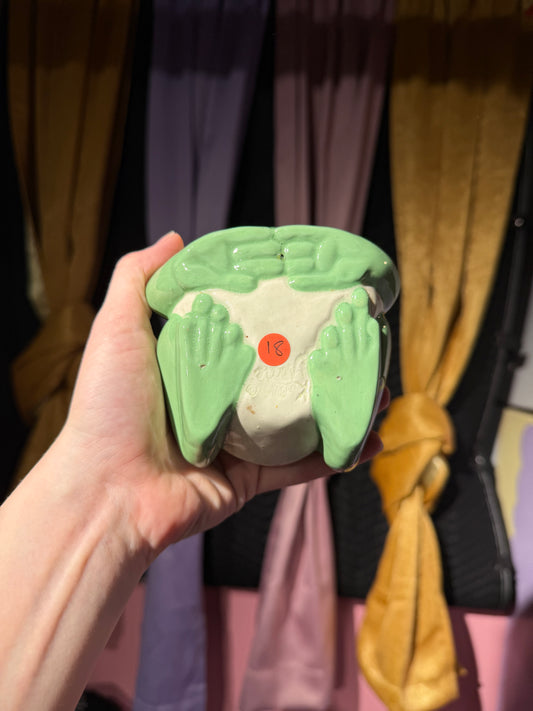 Cleo the small frog 18