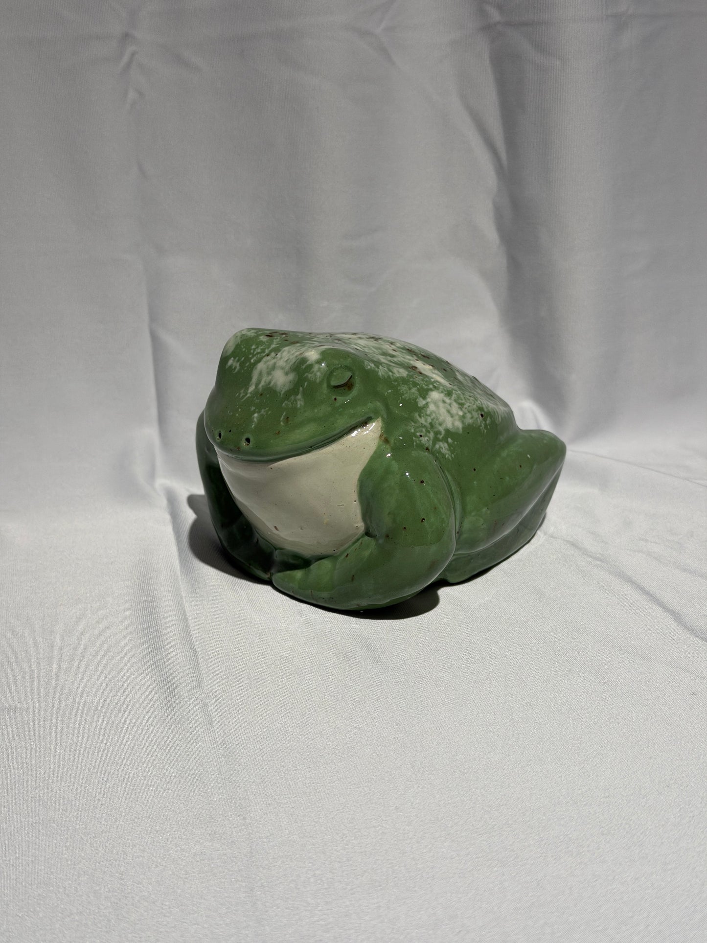 Dollie the White's Tree Frog