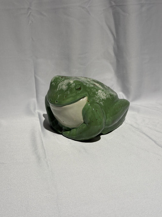 Dollie the White's Tree Frog