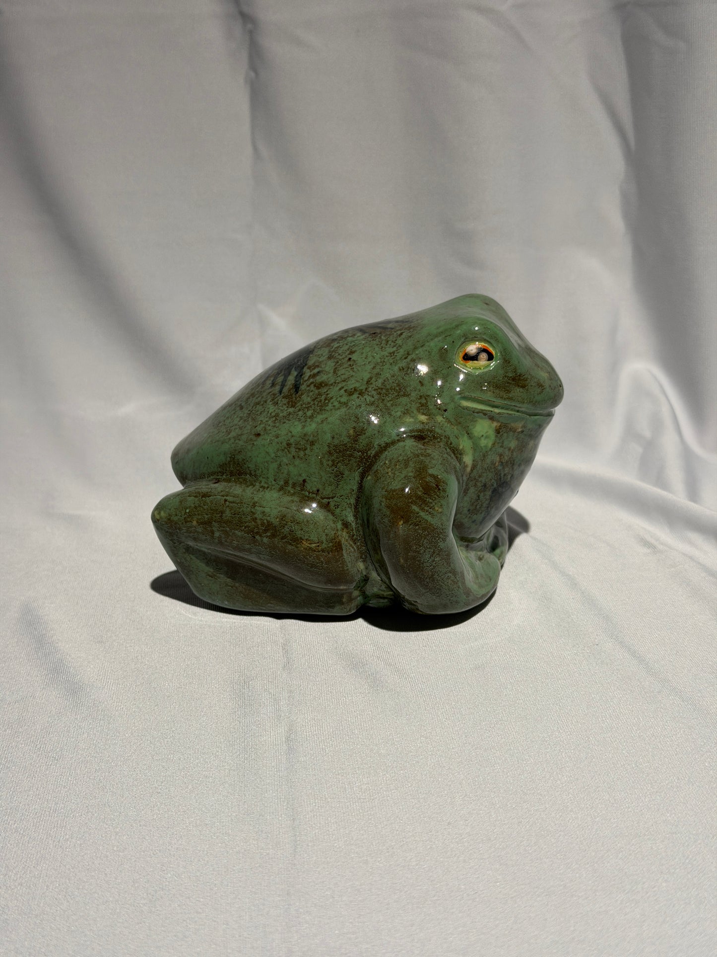 Brad the white's tree frog