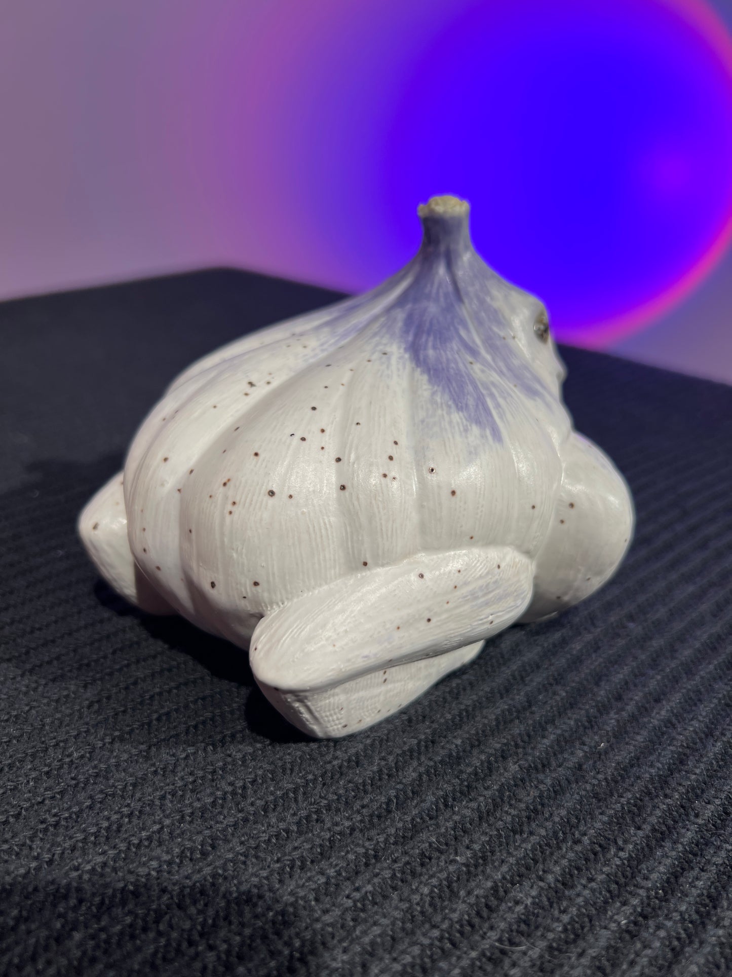 Garlito the Garlic Frog