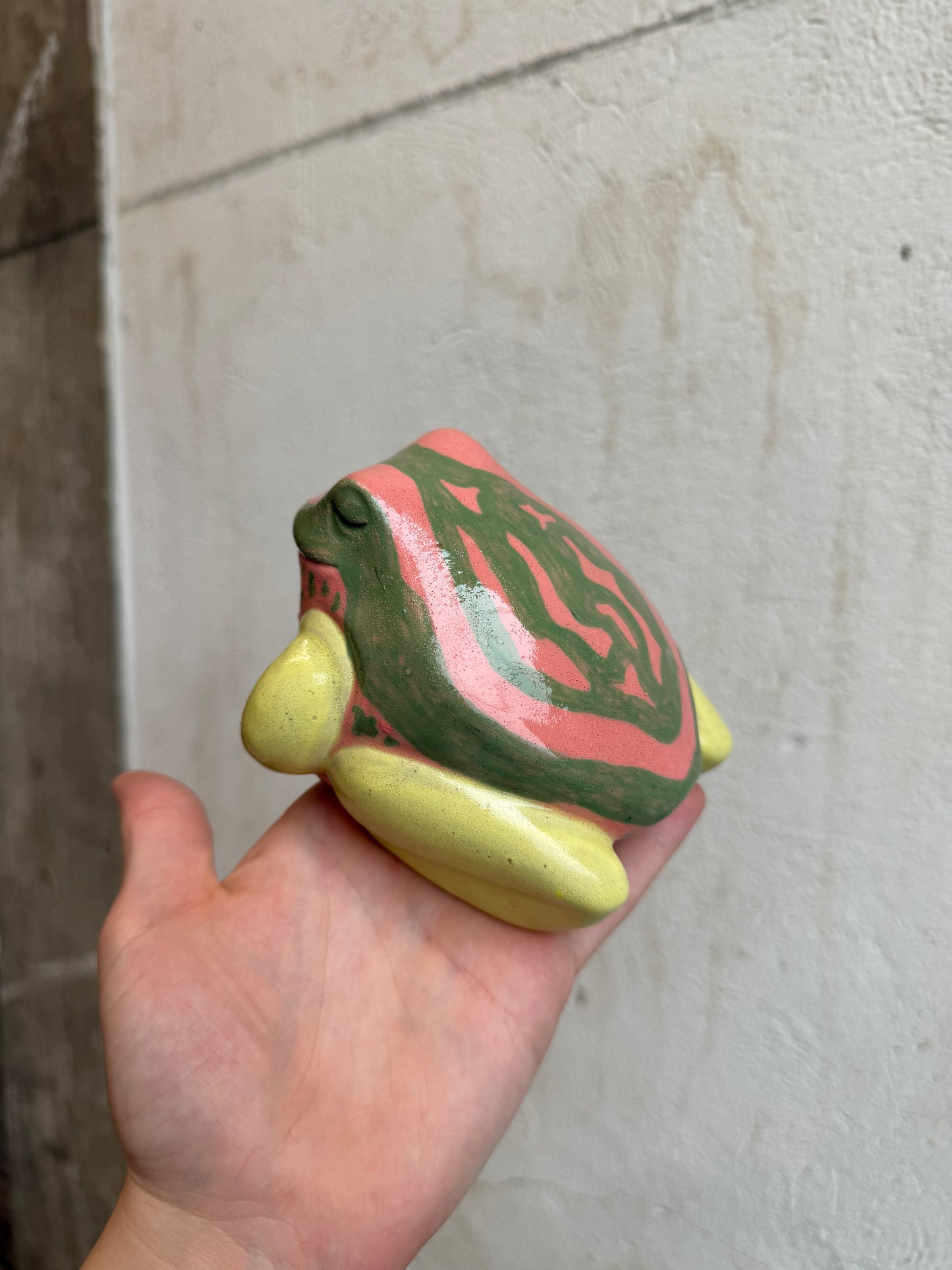 O’Keeffe the Dyeing Dart Frog