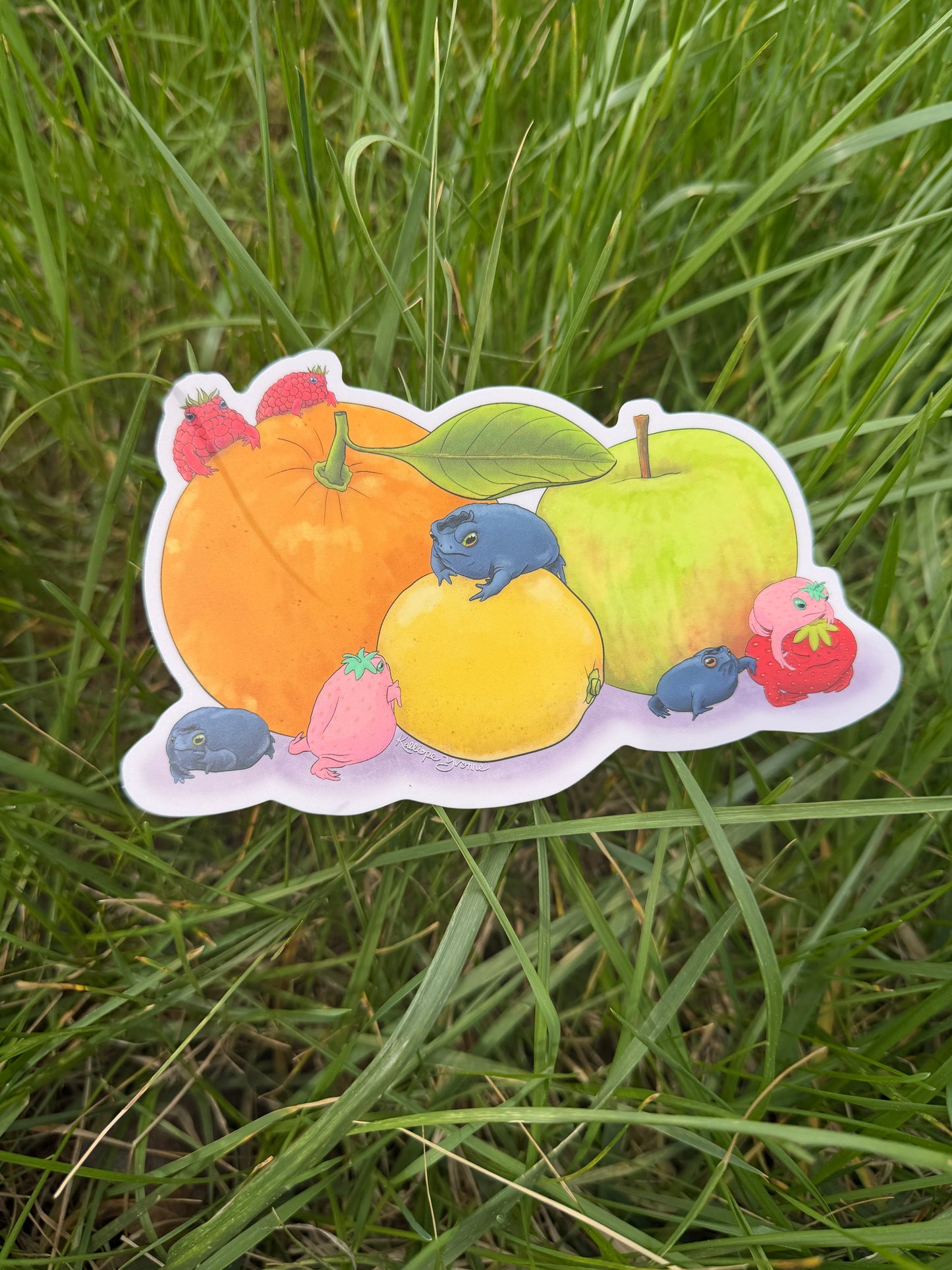 XL Limited Edition "A Berry Froggy Still Life" Matte Vinyl Sticker