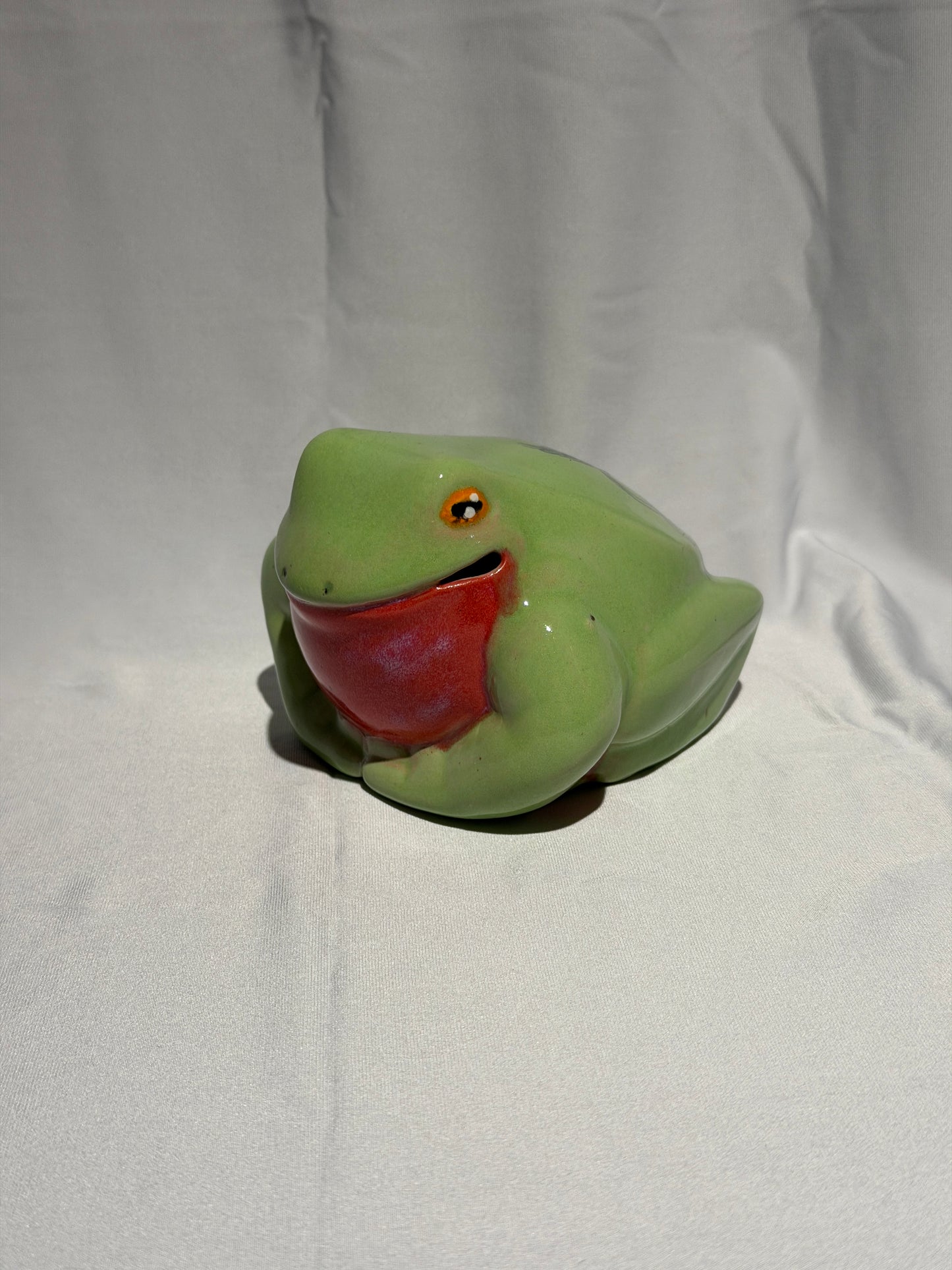 Lifeline the White's Tree Frog