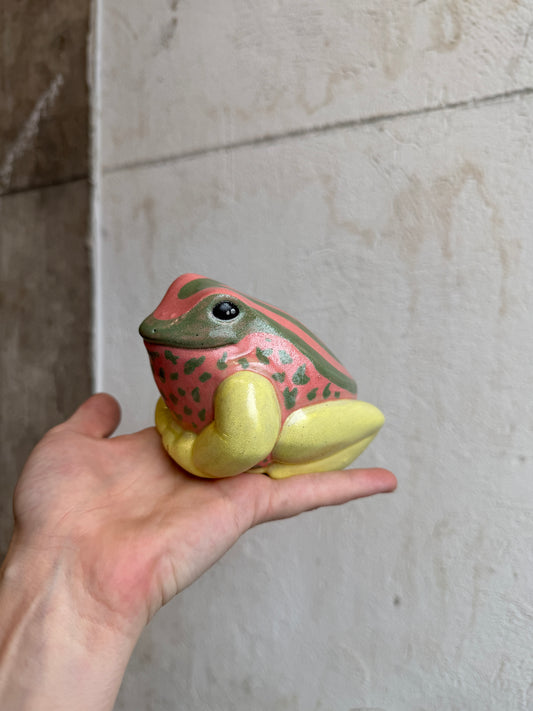 Georgia the Dyeing Dart Frog