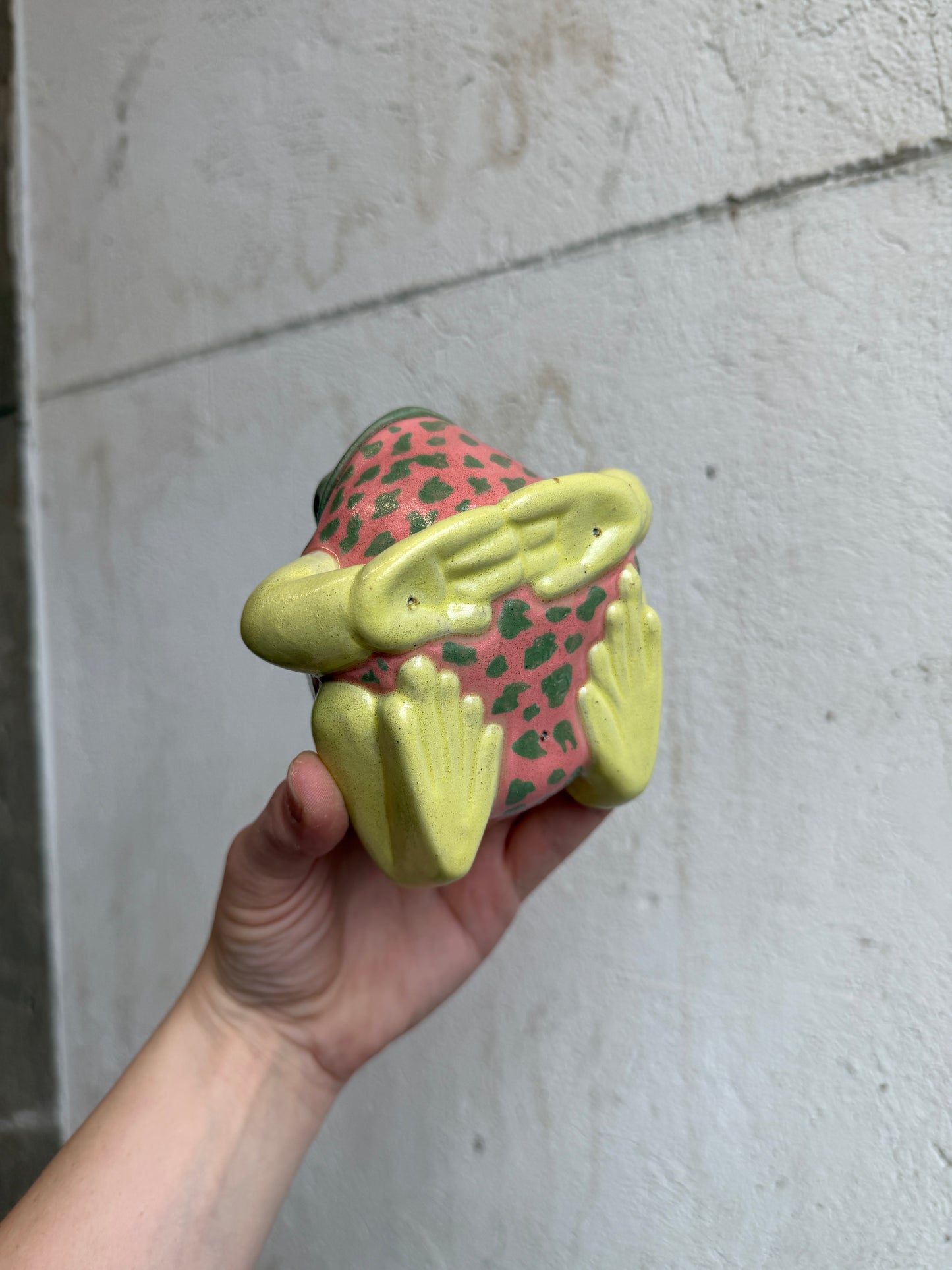 Georgia the Dyeing Dart Frog