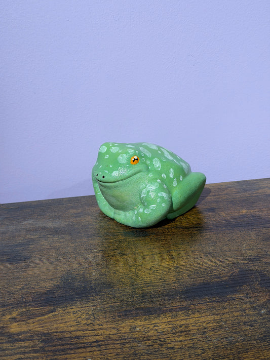 Fuzz the White’s Tree Frog