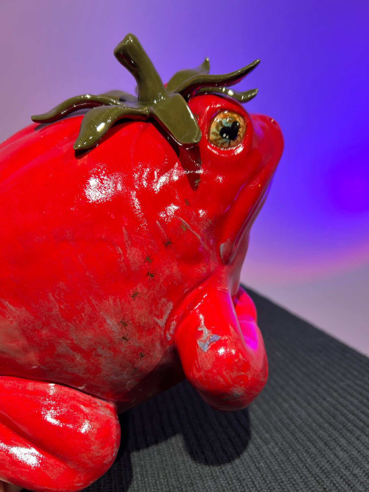 Helen the Heirloom Tomatoad with Real Gold Ants