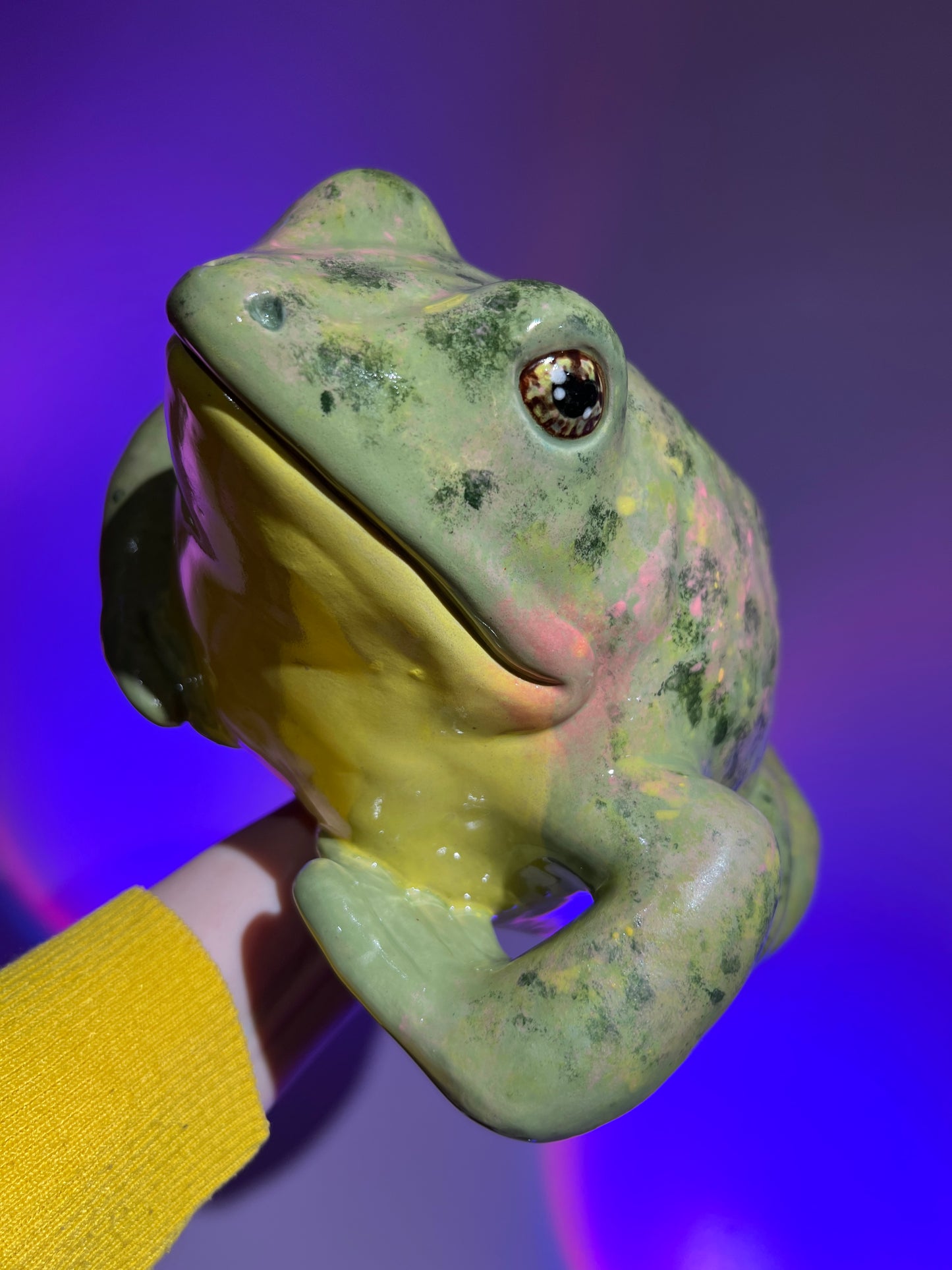 Wartley the Happy Frog