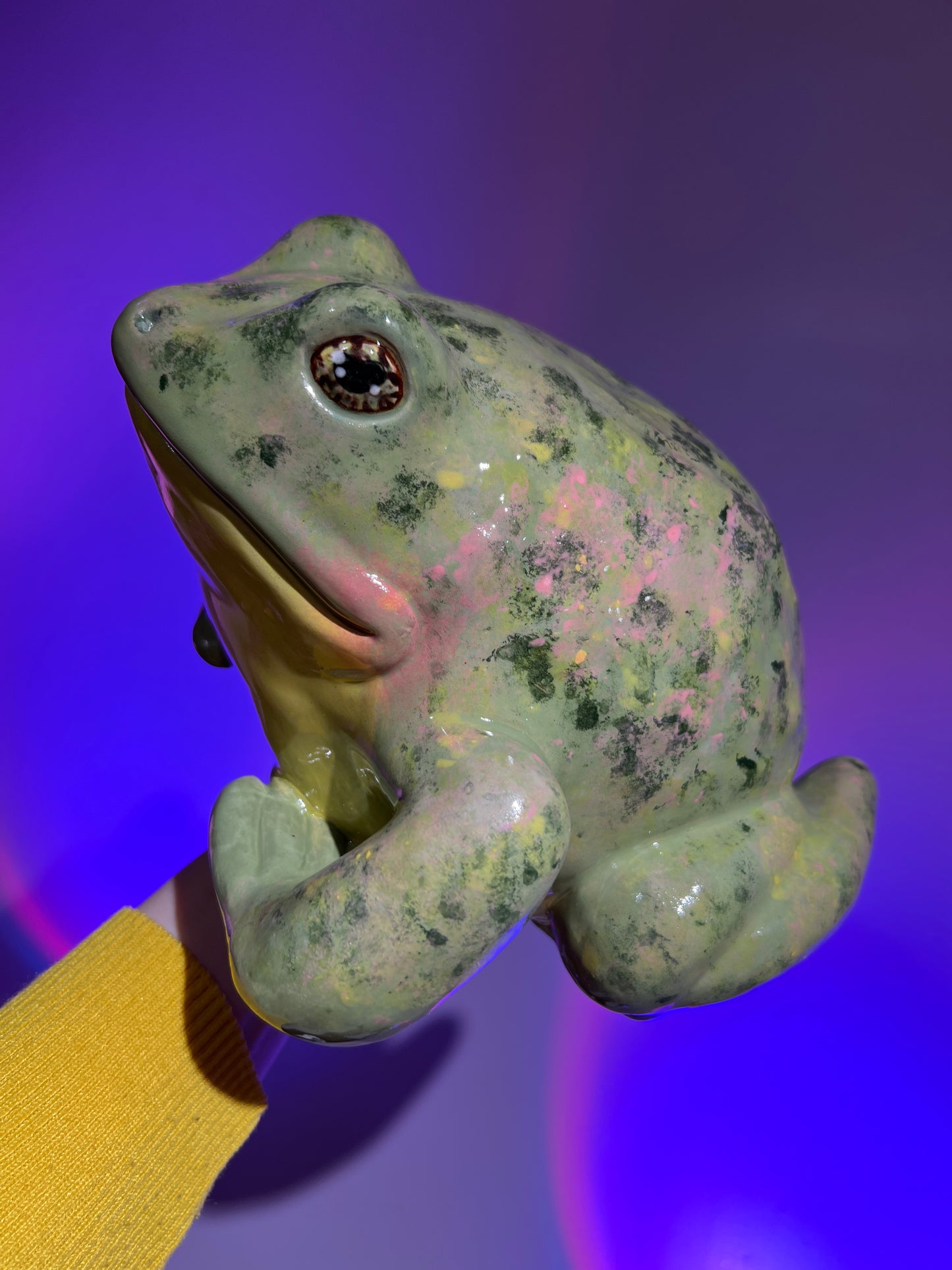 Wartley the Happy Frog