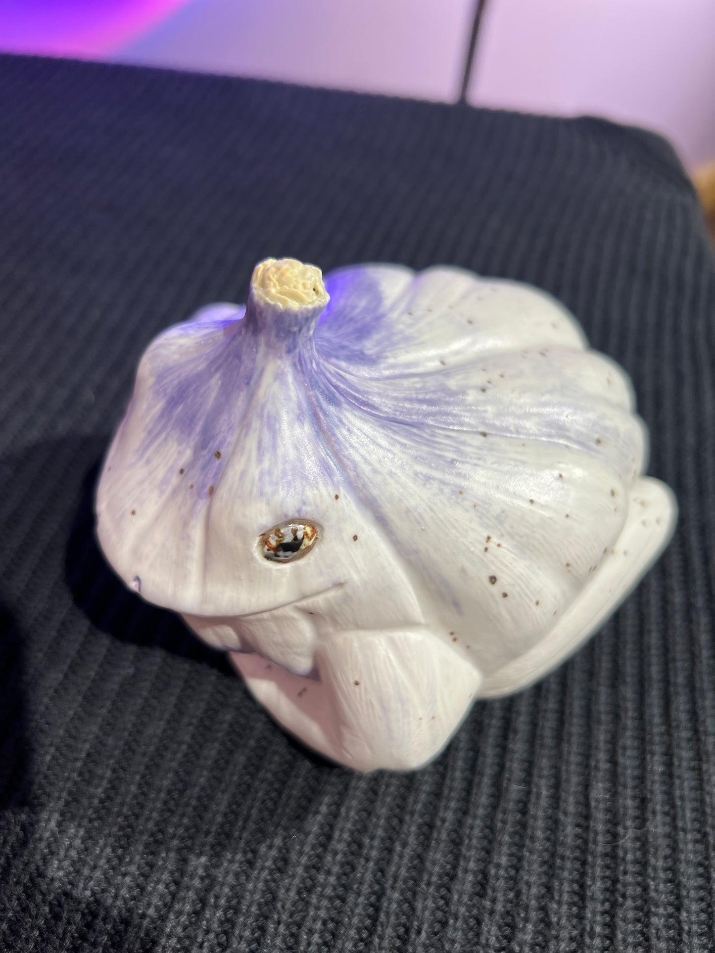 Garlito the Garlic Frog