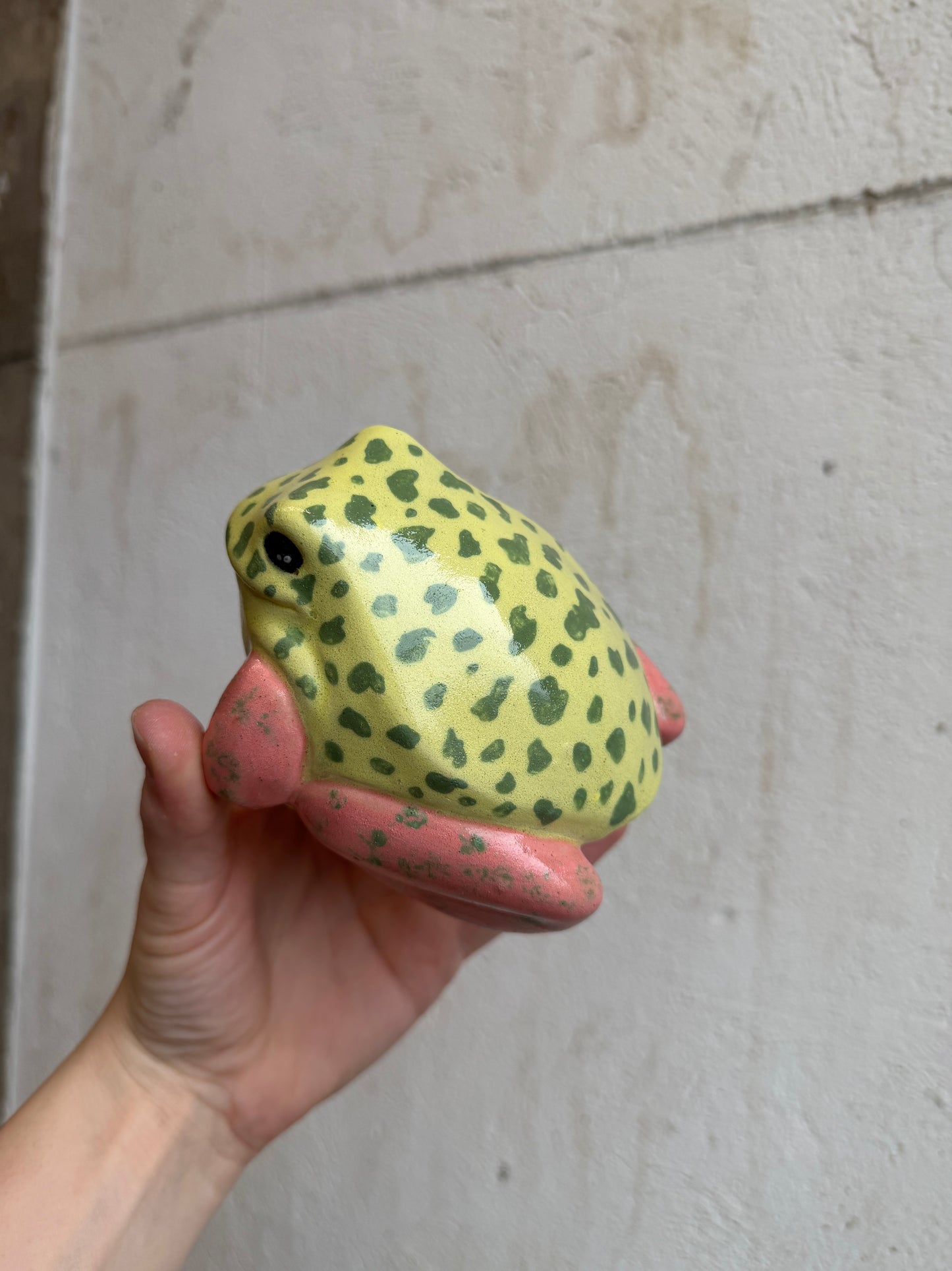 Pippi the Strawberry Dart Frog