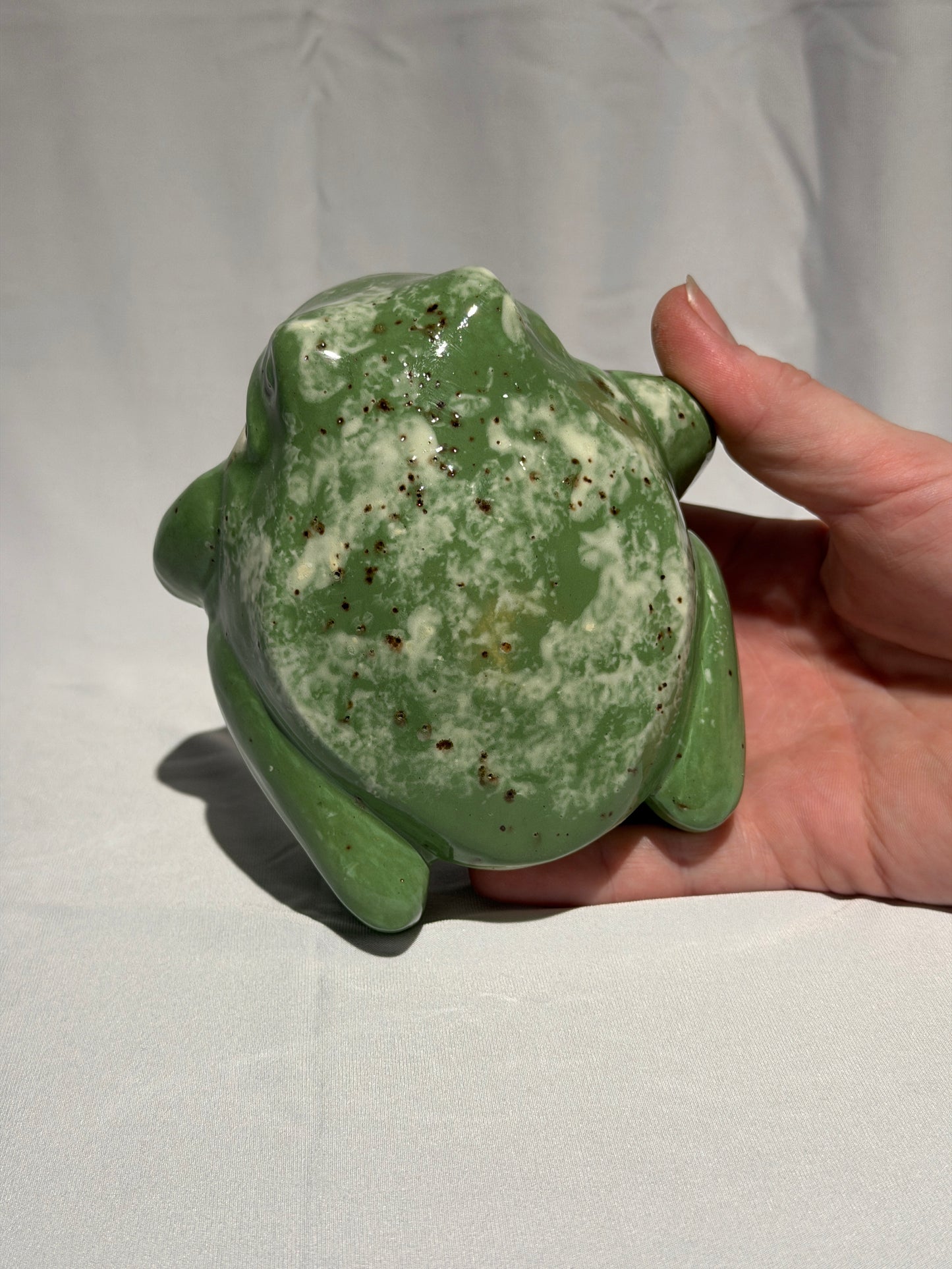 Dollie the White's Tree Frog