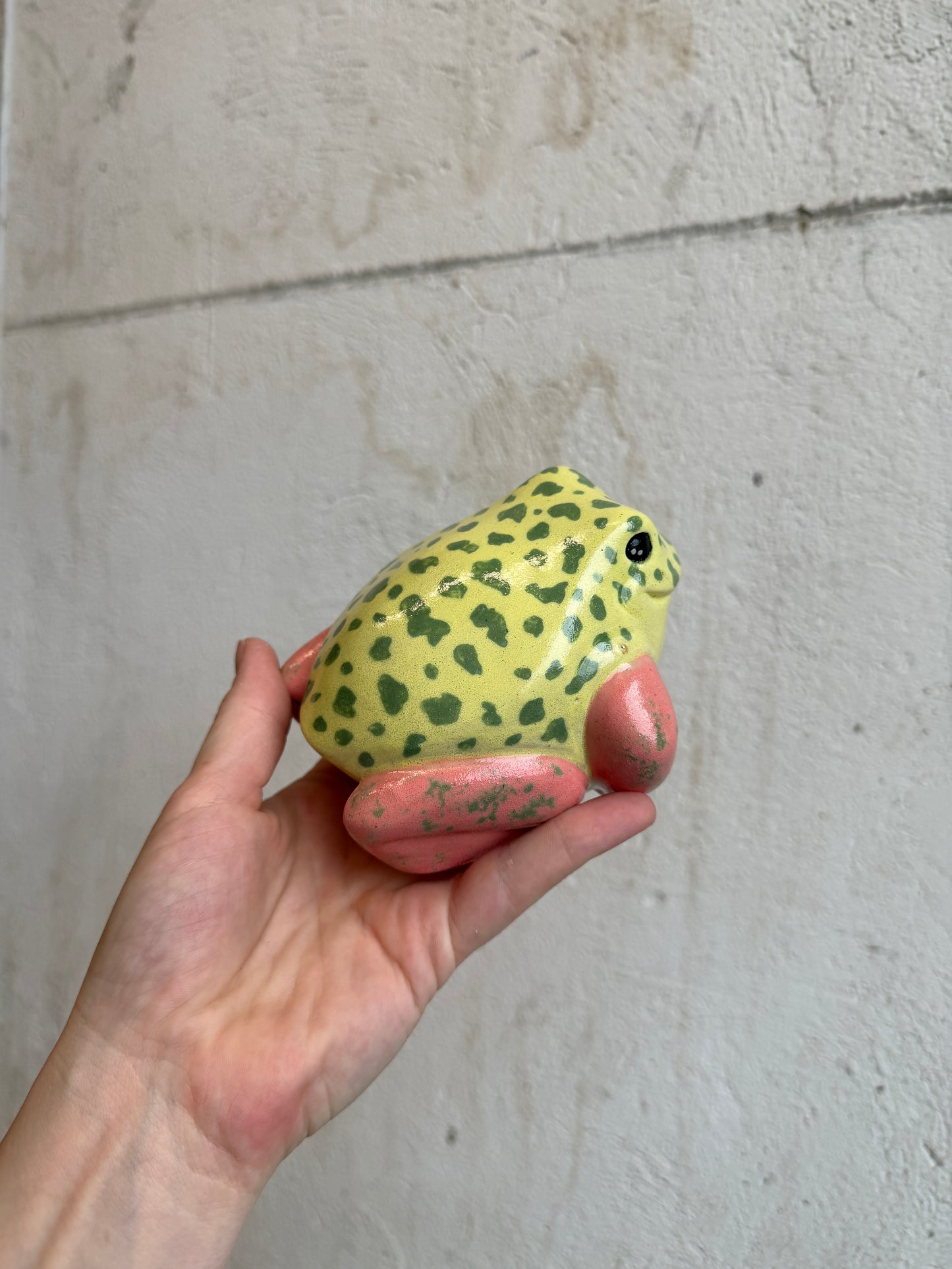 Pippi the Strawberry Dart Frog