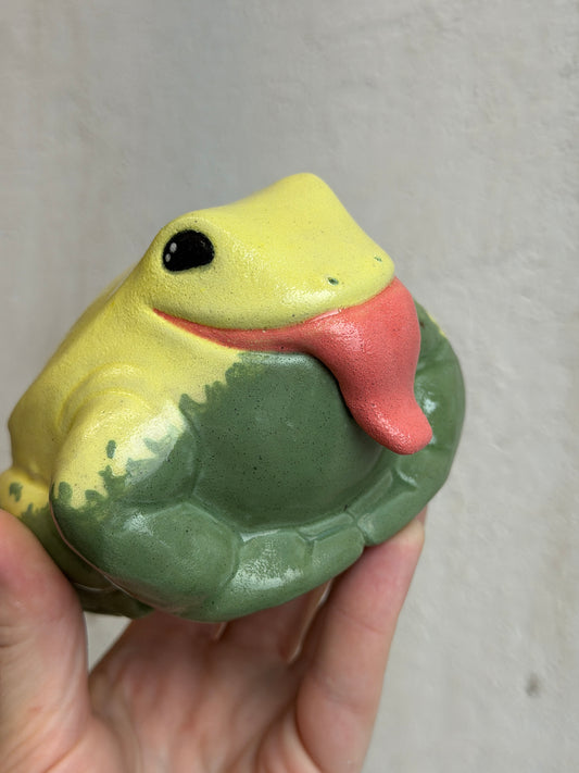 Cytrus the Splashback Dart Frog