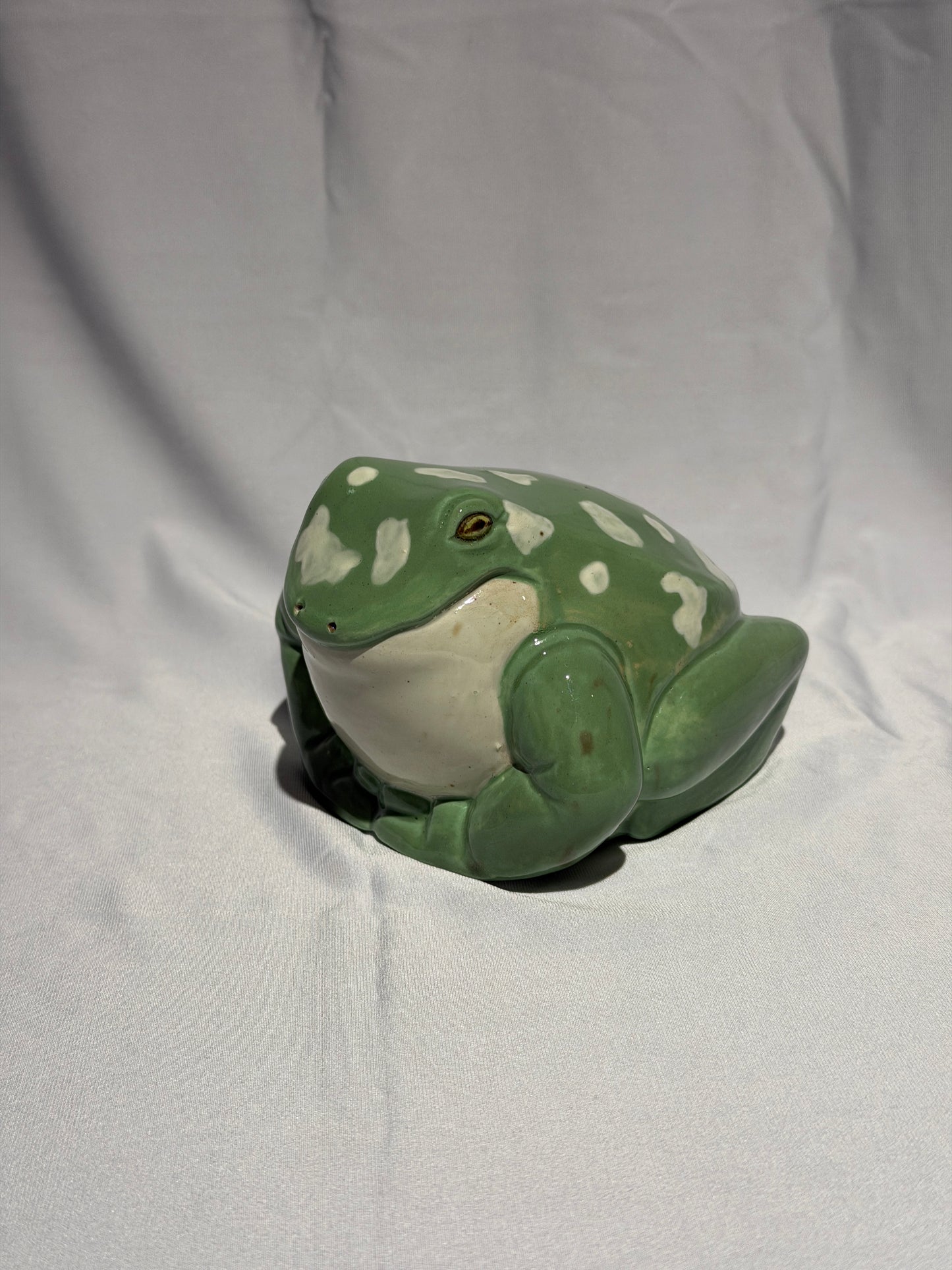 Willoughdean the White's Tree Frog