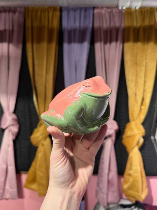 Melon the Splashback Dart Frog