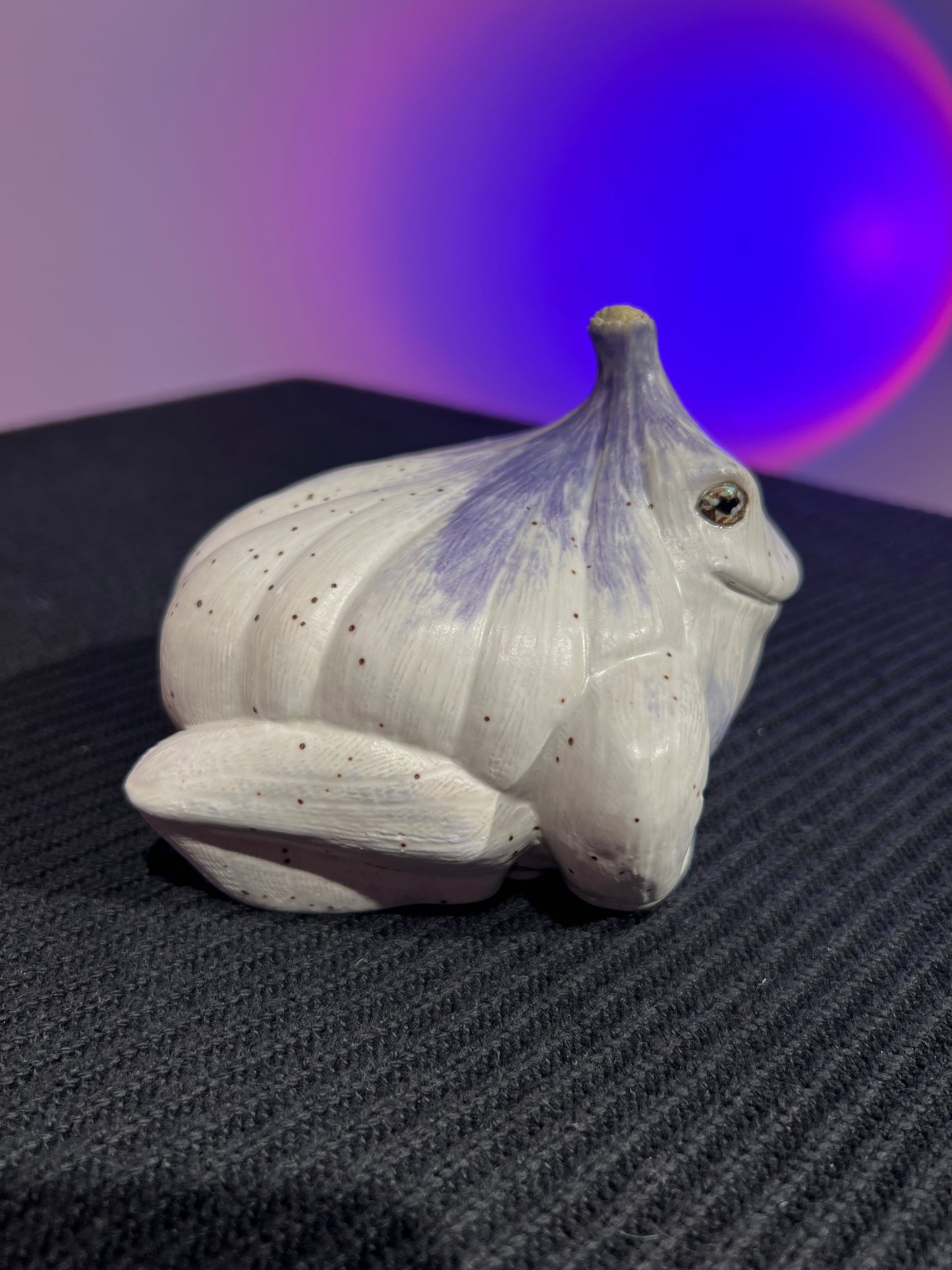 Garlito the Garlic Frog