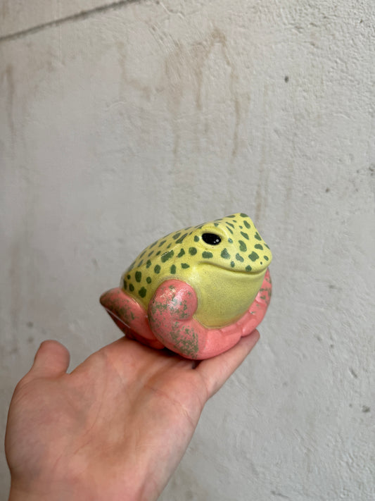 Grump the Strawberry Dart Frog