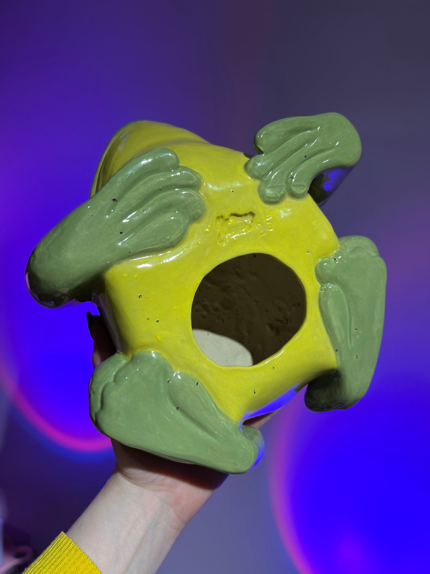 Wartley the Happy Frog