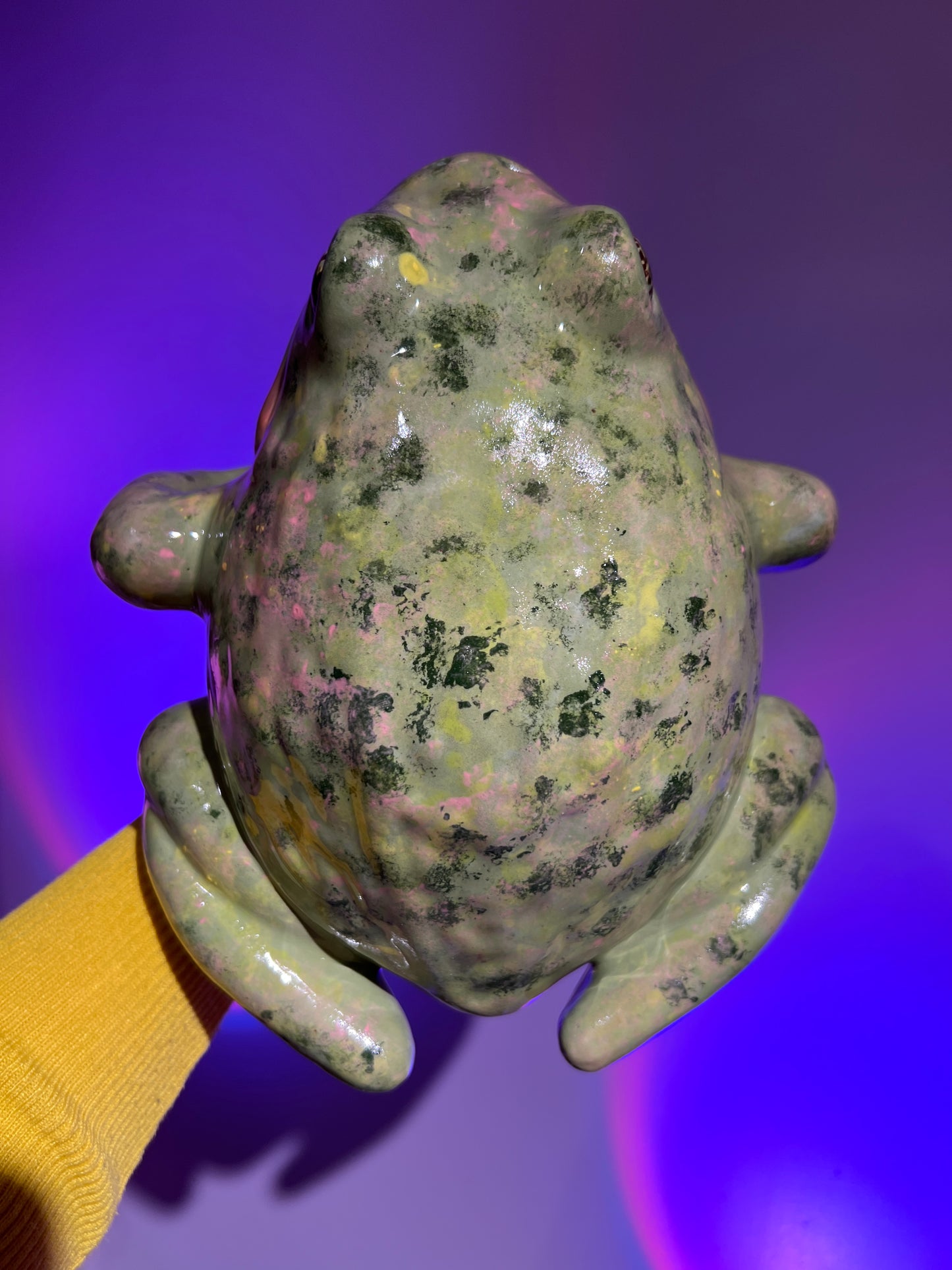 Wartley the Happy Frog