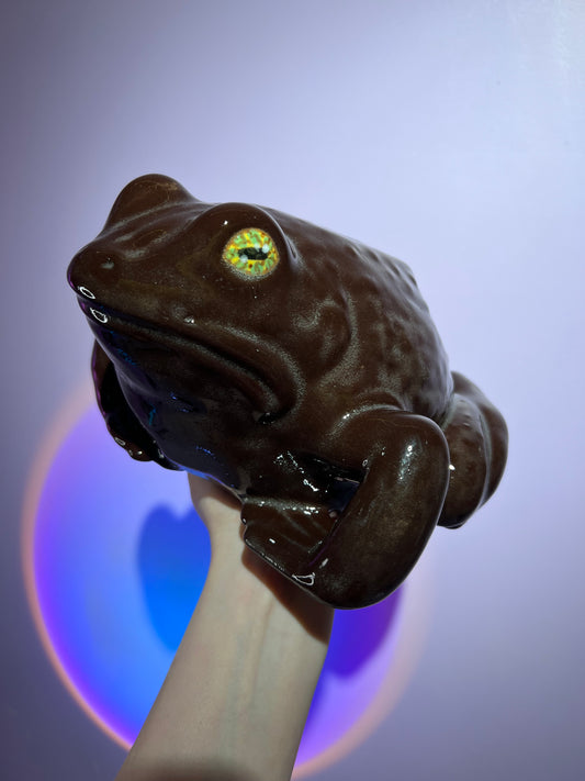 Chocolate Brown Regular Frog