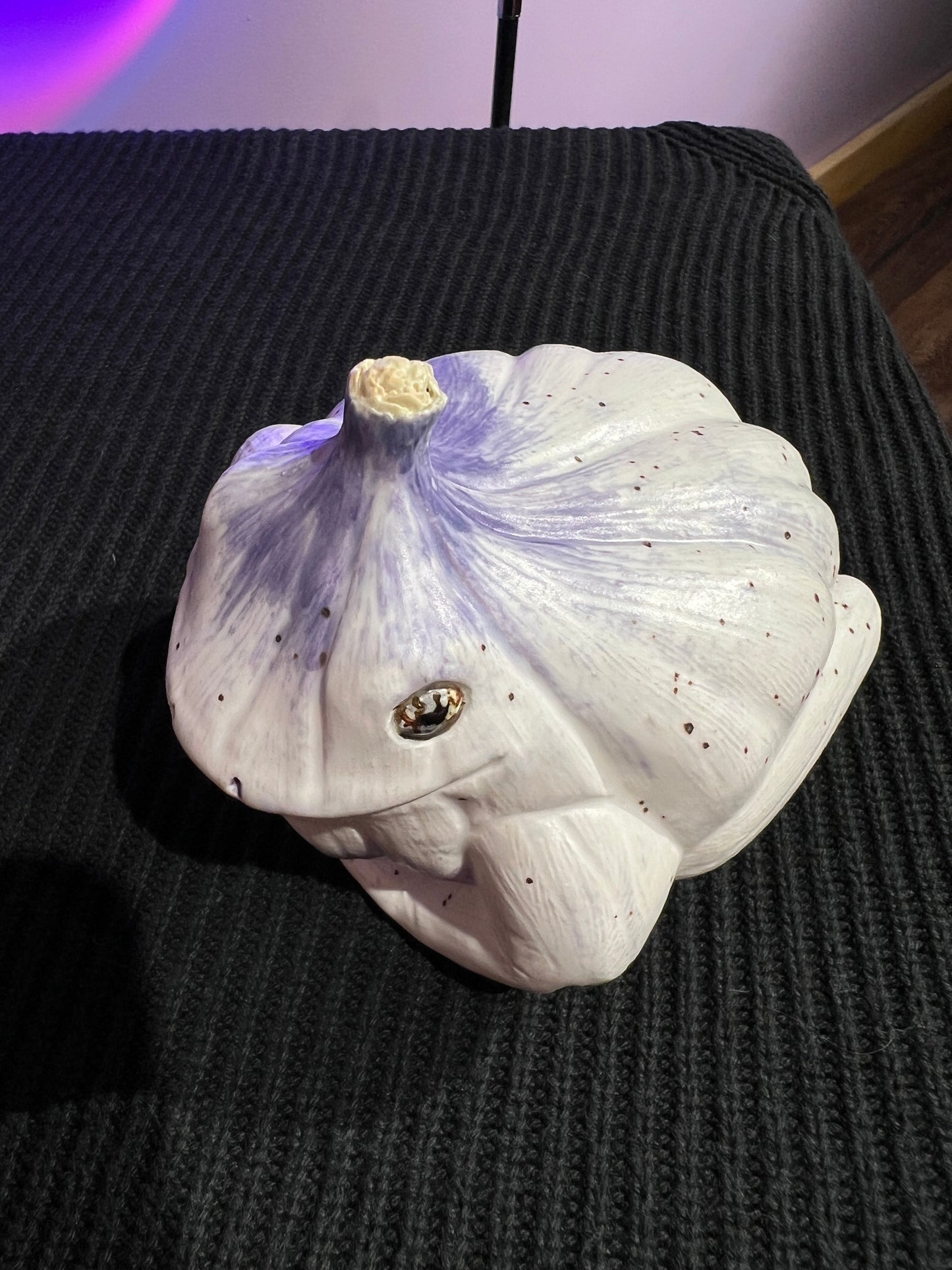 Garlito the Garlic Frog