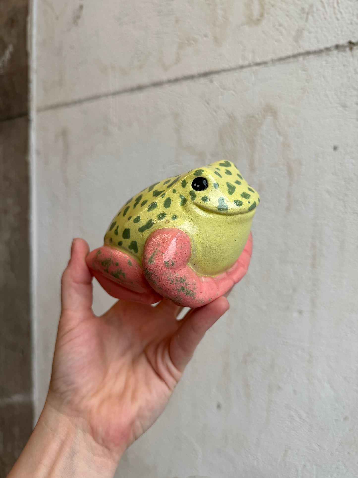 Pippi the Strawberry Dart Frog