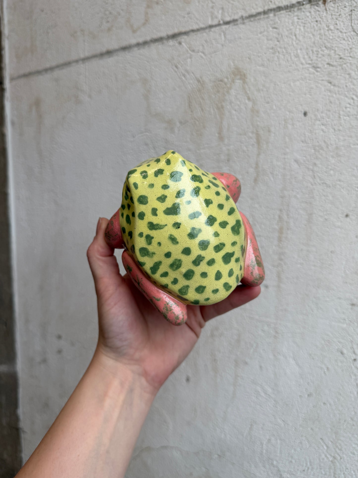 Grump the Strawberry Dart Frog