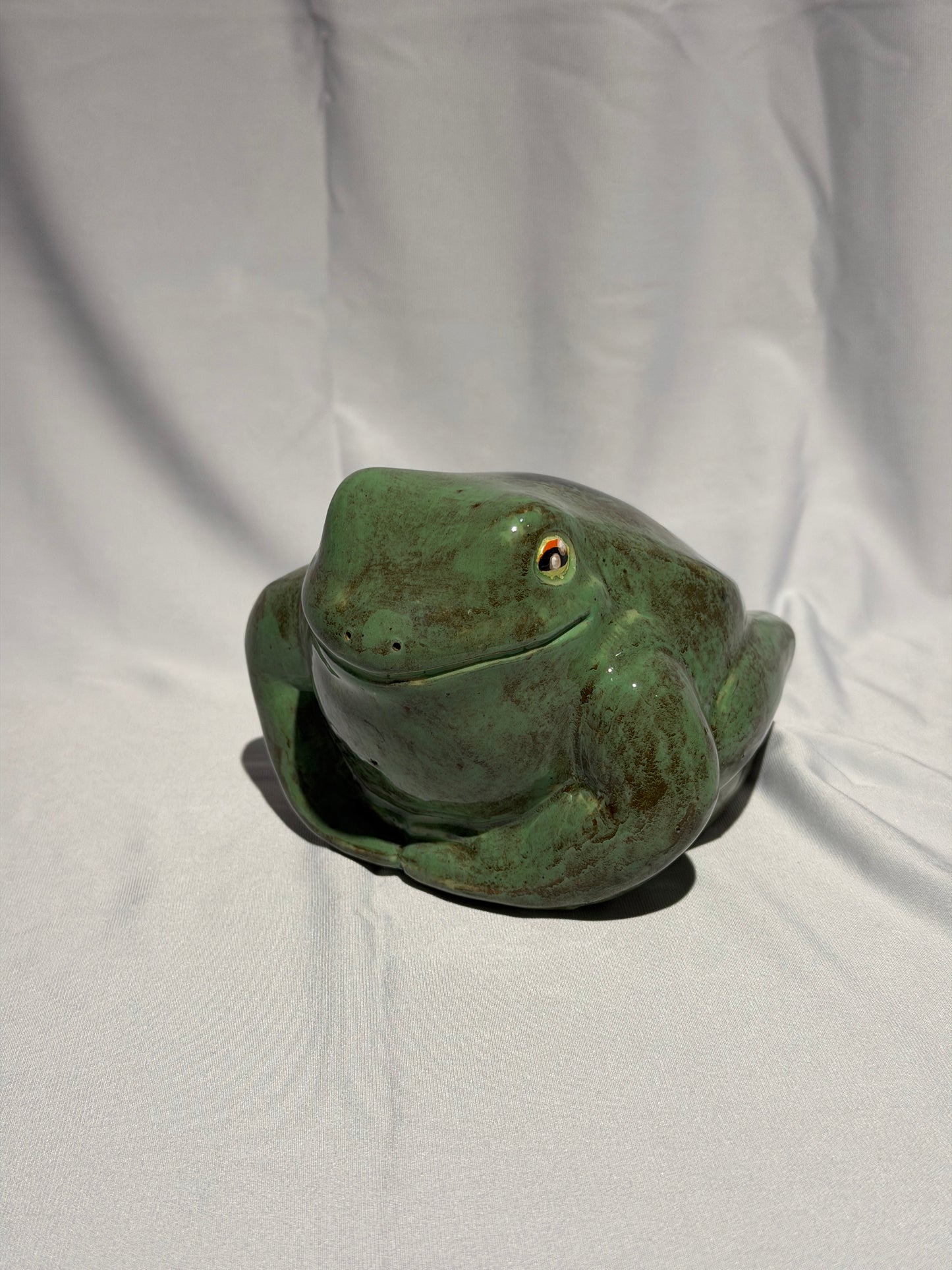 Brad the white's tree frog