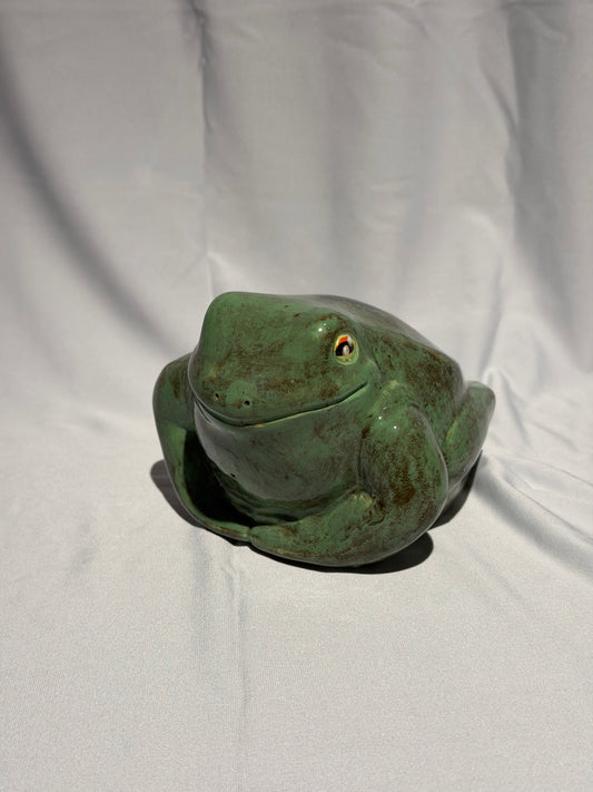 Brad the white's tree frog