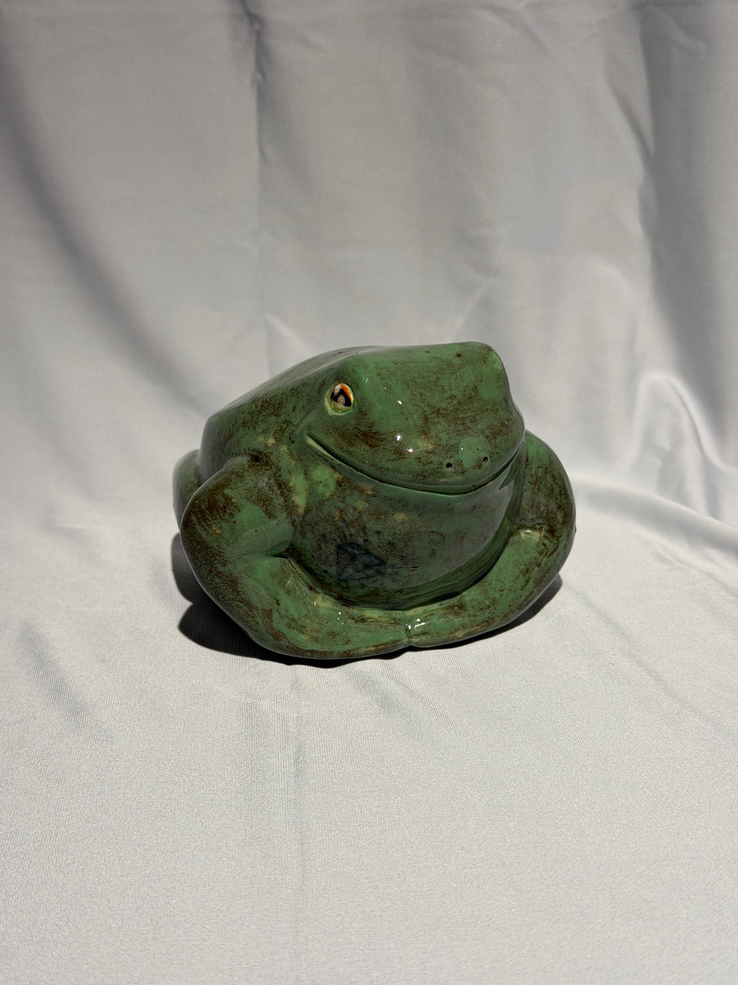 Brad the white's tree frog
