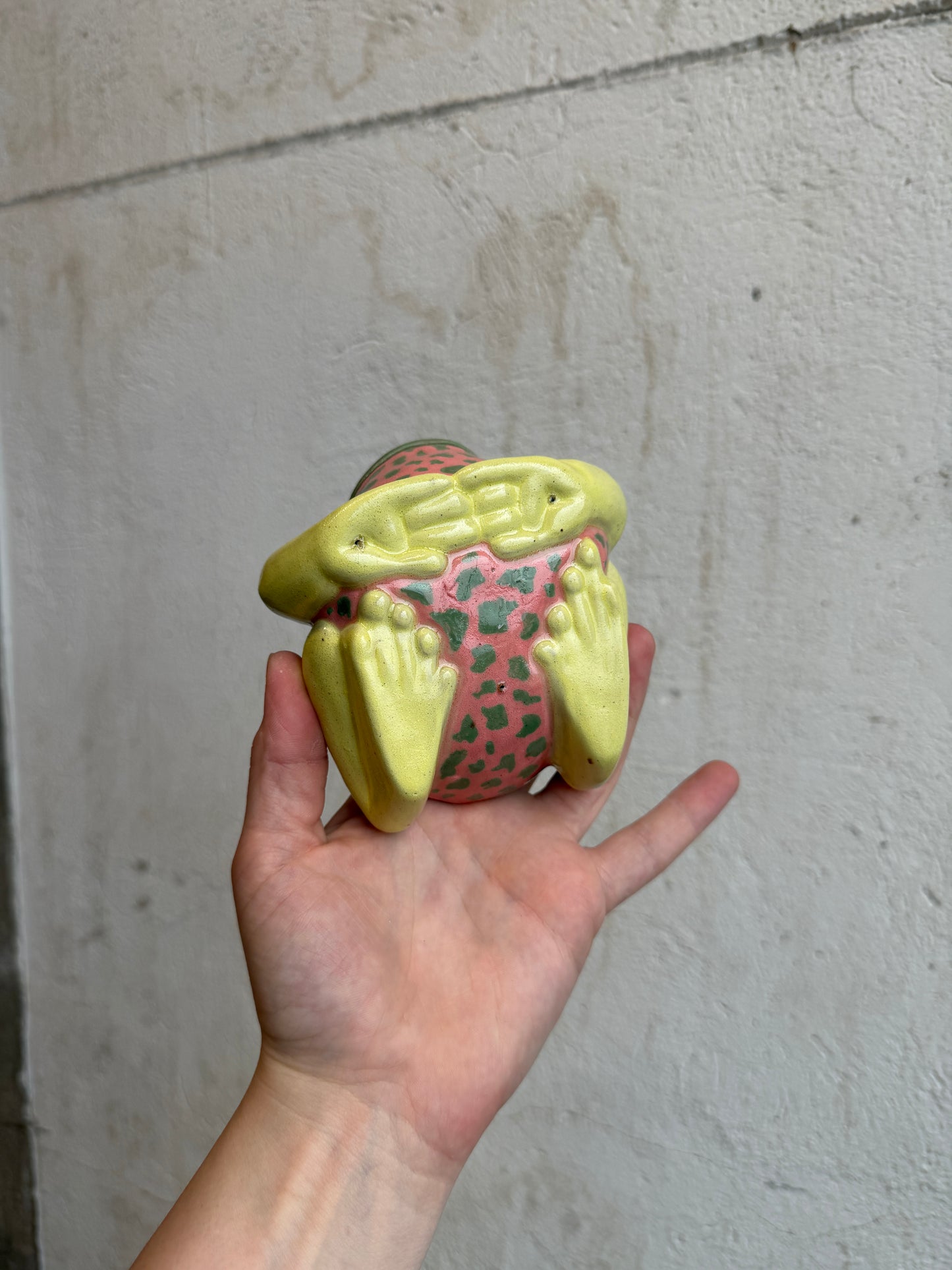 O’Keeffe the Dyeing Dart Frog