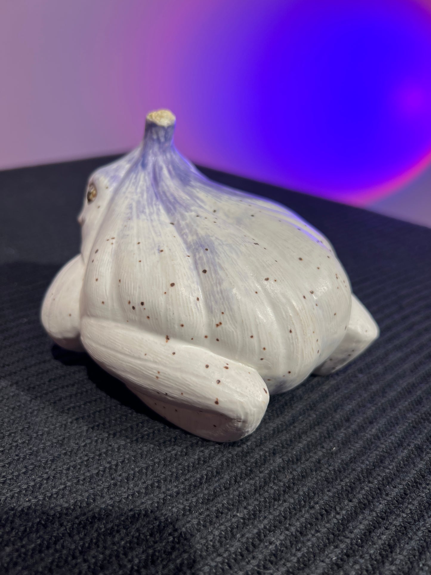 Garlito the Garlic Frog