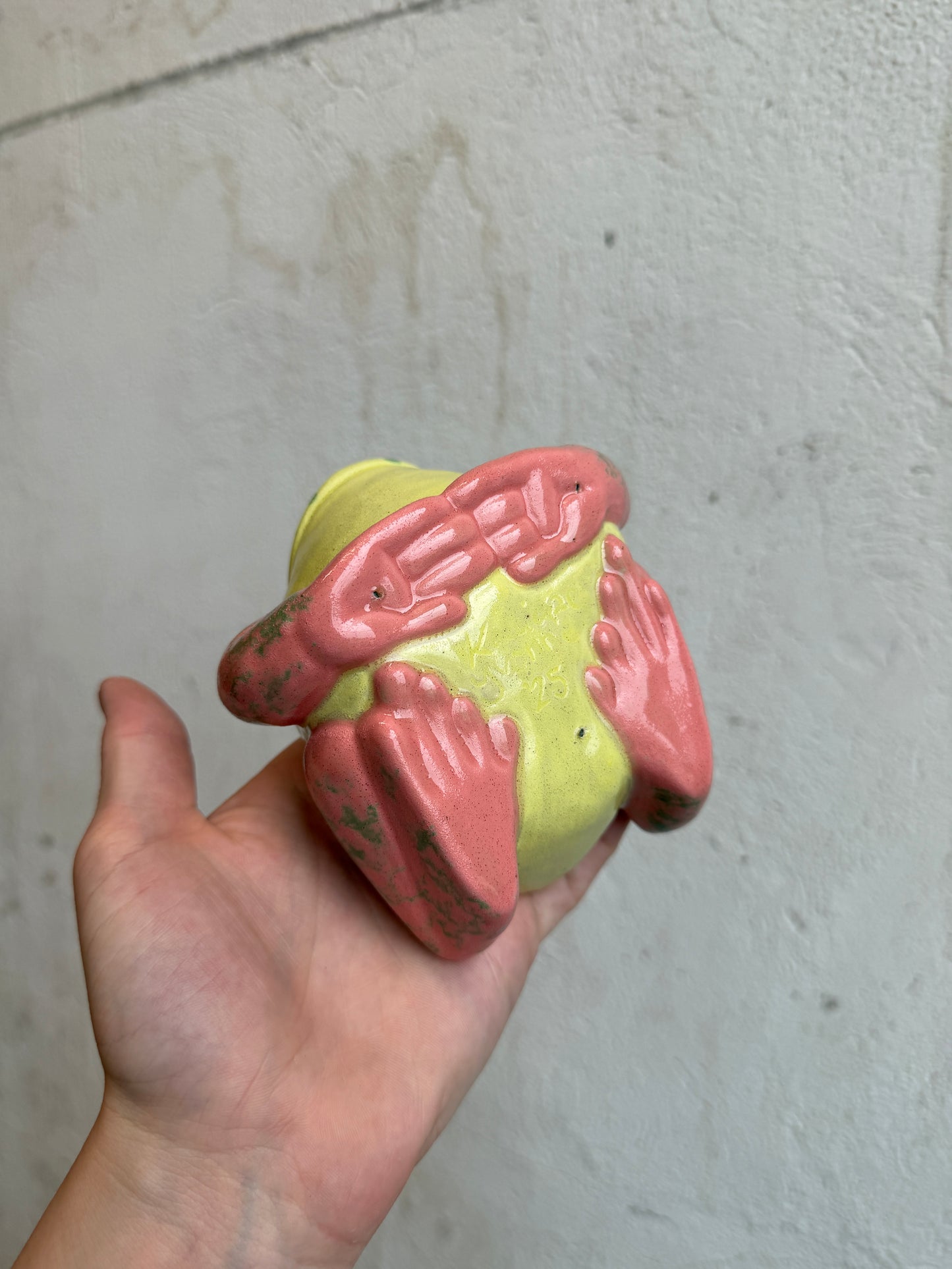 Grump the Strawberry Dart Frog