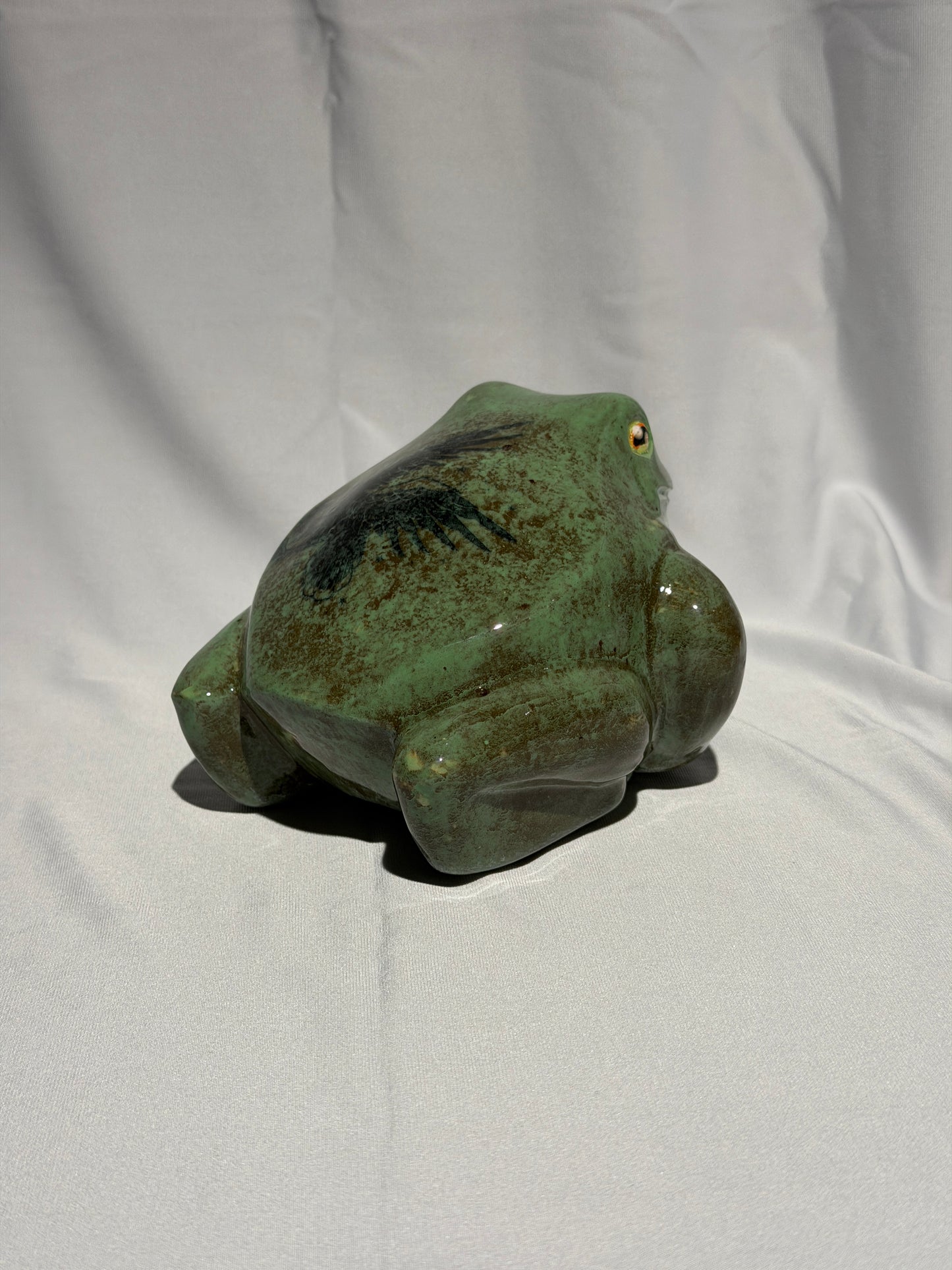 Brad the white's tree frog