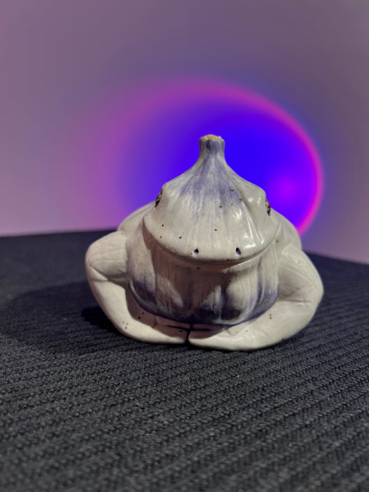 Garlito the Garlic Frog